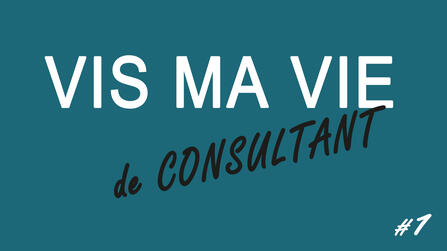 Vis ma vie de consultant 1 Erwan Colson