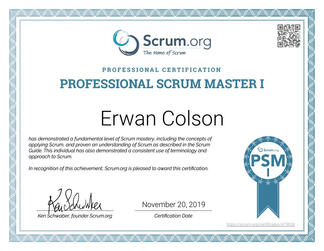Professional Scrum Master - Erwan Colson