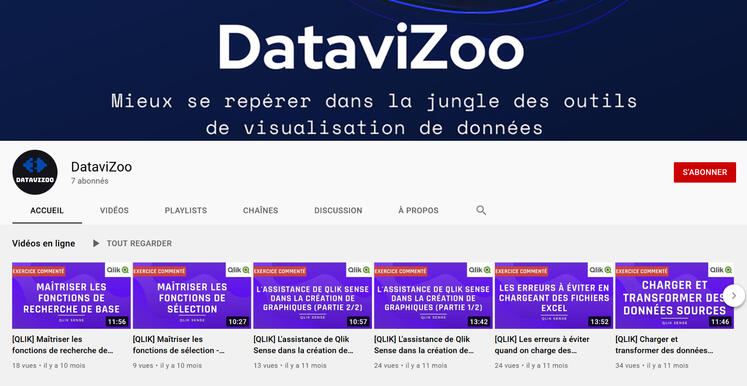 Datavizoo Youtube Erwan Colson